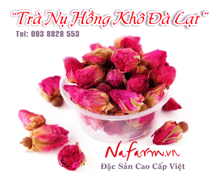 tra-nu-hong-da-lat-093-8828-553