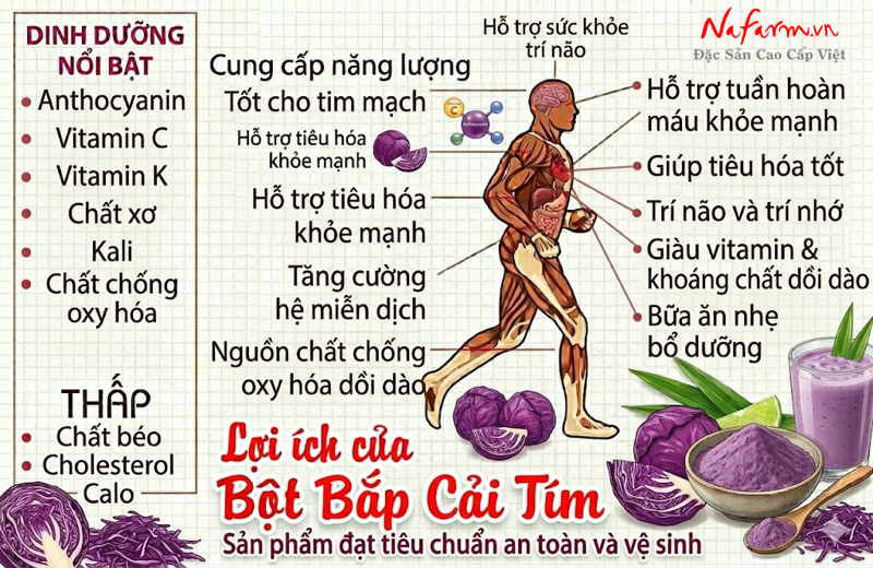 bot-bap-cai-tim-purple-cabbage-powder-say-thang-hoa-nong-san-dac-san-nafarm-0938-828-553-4 bot-bap-cai-tim-purple-cabbage-powder-say-thang-hoa-nong-san-dac-san-nafarm-0938-828-553-4
