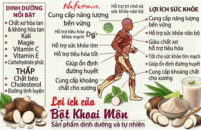 bot-khoai-mon-taro-powder-say-thang-hoa-nong-san-dac-san-nafarm-0938-828-553-4bot-khoai-mon-taro-powder-say-thang-hoa-nong-san-dac-san-nafarm-0938-828-553-4