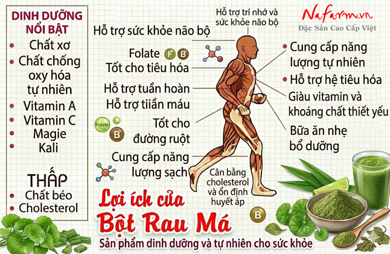 bot-rau-ma-gotu-kola-powder-say-thang-hoa-nong-san-dac-san-nafarm-0938-828-553-4 bot-rau-ma-gotu-kola-powder-say-thang-hoa-nong-san-dac-san-nafarm-0938-828-553-4