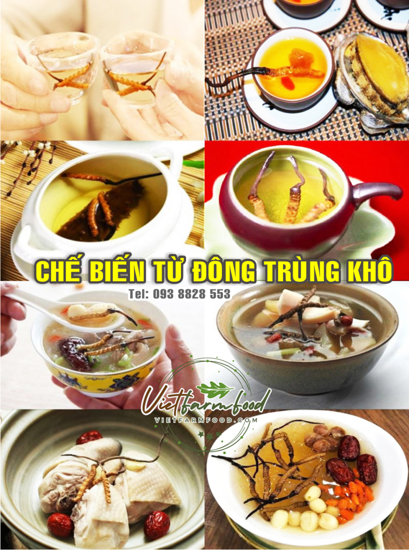 che-bien-tu-dong-trung-ha-thao-sau-trung-kho-dried-cordyceps-nong-san-viet-farm-food-093-8828-553 che-bien-tu-dong-trung-ha-thao-sau-trung-kho-dried-cordyceps-nong-san-viet-farm-food-093-8828-553