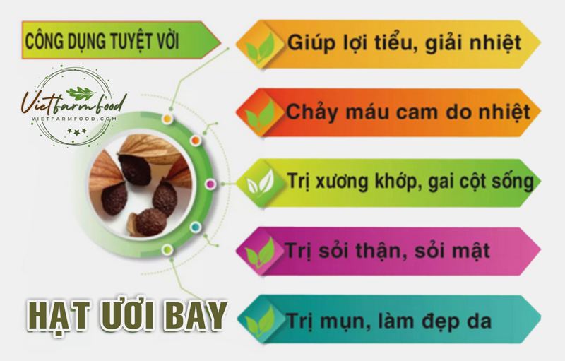 cong-dung-loi-ich-hat-duoi-uoi-bay-orangutan-seeds-fly-nong-san-cao-cap-viet-farm-food-093-8828-553