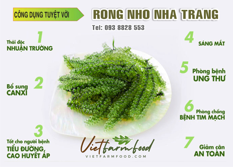 cong-dung-loi-ich-rong-tach-nuoc-say-kho-nha-trang-dehydrated-dried-seaweed--nong-san-cao-cap-viet-farm-food-093-8828-553