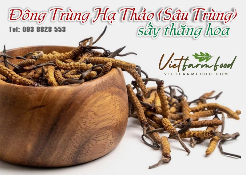 dong-trung-ha-thao-sau-trung-kho-dried-cordyceps-nong-san-viet-farm-food-093-8828-553- dong-trung-ha-thao-sau-trung-kho-dried-cordyceps-nong-san-viet-farm-food-093-8828-553-
