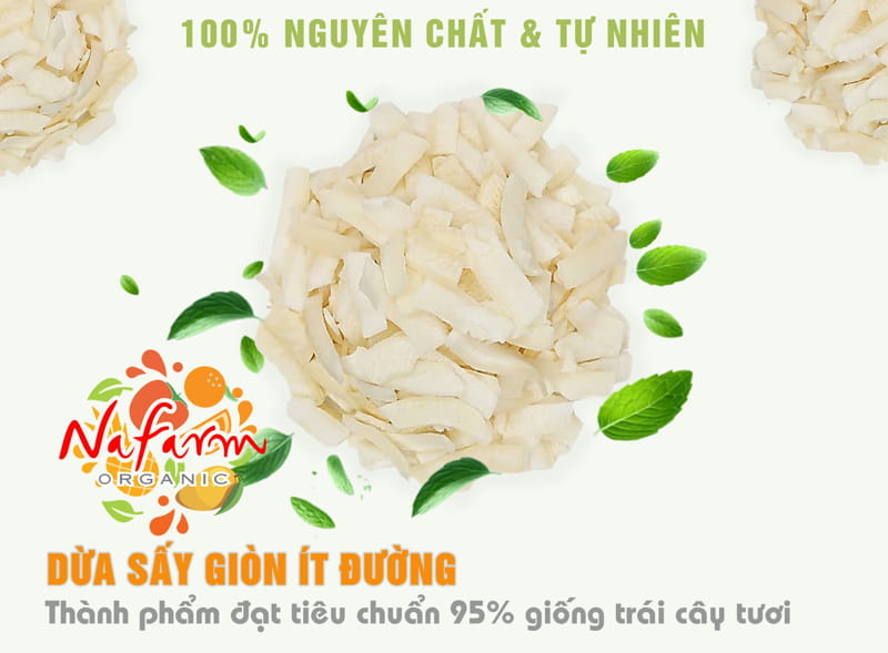 dua-kho-gion-khong-duong-say-crispy-dried-coconut-dac-san-cao-cap-viet-nafarm-hotline-093-8828-553-3