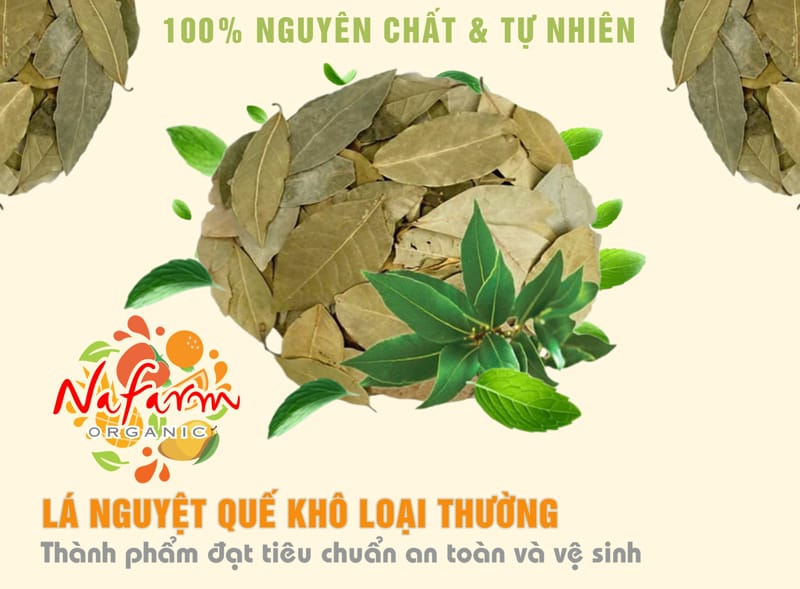 la-nguyet-que-kho-loai-thuong-say-doi-luu-regular-dried-bay-leaves-dac-san-nong-san-cao-cap-viet-farm-food-l-hotline-093-8828-553-3