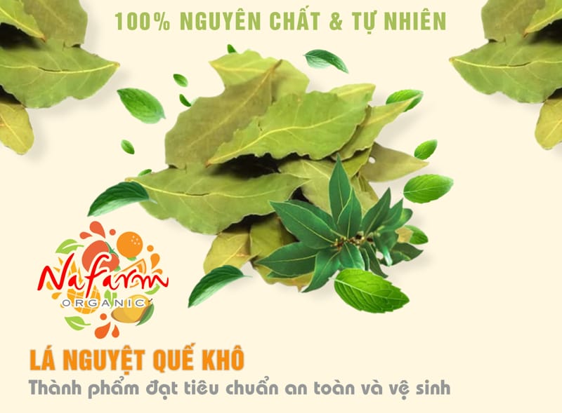 la-nguyet-que-kho-loai-thuong-say-thang-hoa-dried-bay-leaves-dac-san-nong-san-cao-cap-viet-farm-food-hotline-093-8828-553-33 la-nguyet-que-kho-loai-thuong-say-thang-hoa-dried-bay-leaves-dac-san-nong-san-cao-cap-viet-farm-food-hotline-093-8828-553-33
