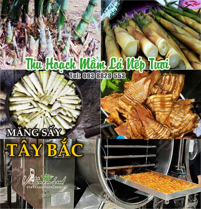 mang-mam-la-nep-tay-bac-kho-dried-%20sticky-rice-shoots-nong-san-cao-cap-vietf-farm-food-093-8828-553