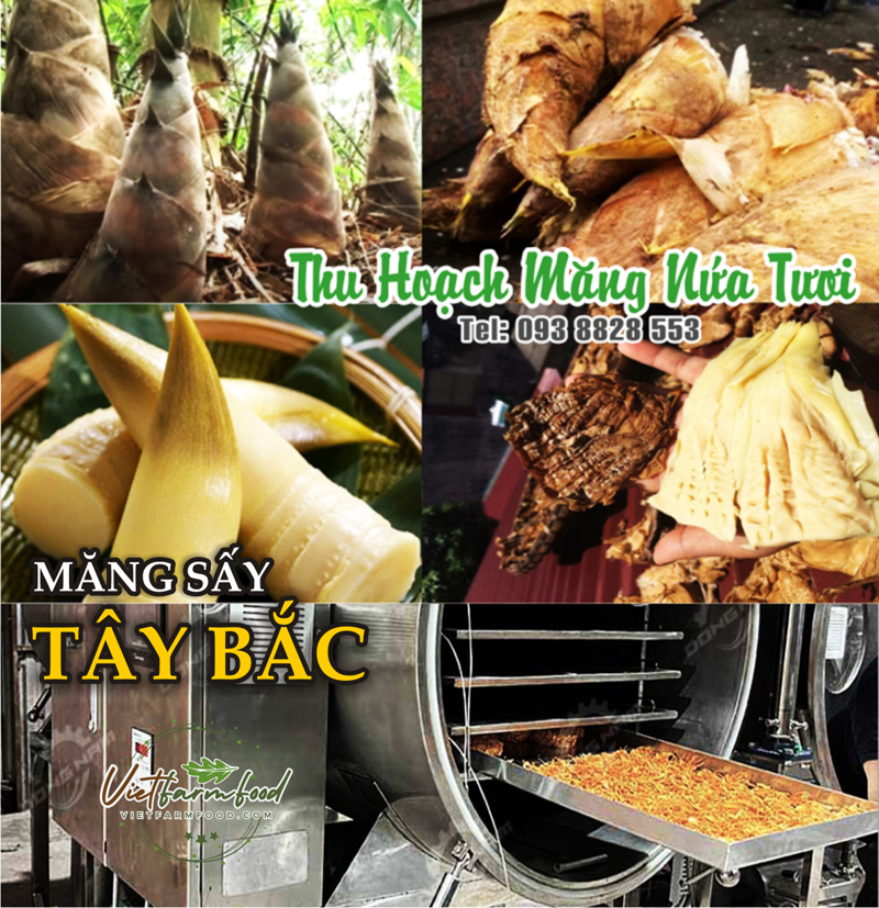 mang-nua-tay-bac-kho-dried-bamboo-shoots-nong-san-cao-cap-viet-farm-food-093-8828-553