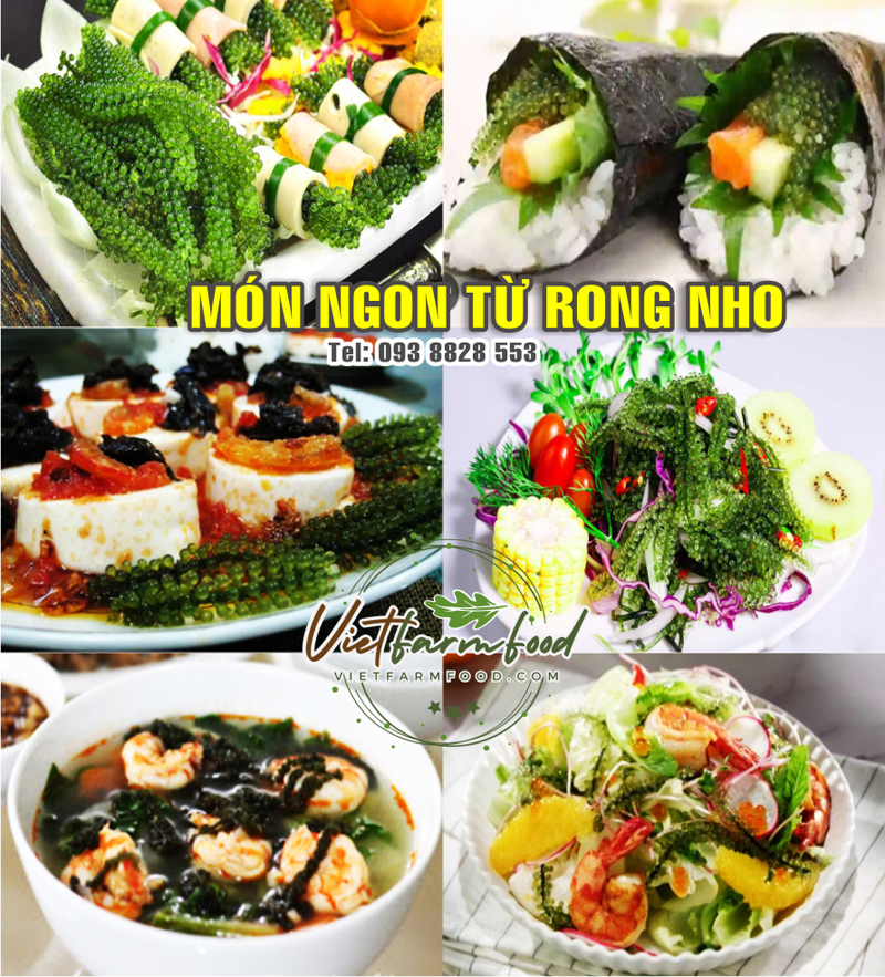 mon-an-ngon-tu-rong-tach-nuoc-say-kho-nha-trang-dehydrated-dried-seaweed--nong-san-cao-cap-viet-farm-food-093-8828-553