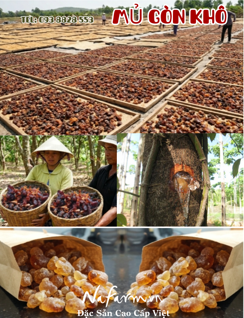 mu-gon-kho-dried-kapo-gum-nong-san-viet-farm-food-093-8828-553 mu-gon-kho-dried-kapo-gum-nong-san-viet-farm-food-093-8828-553