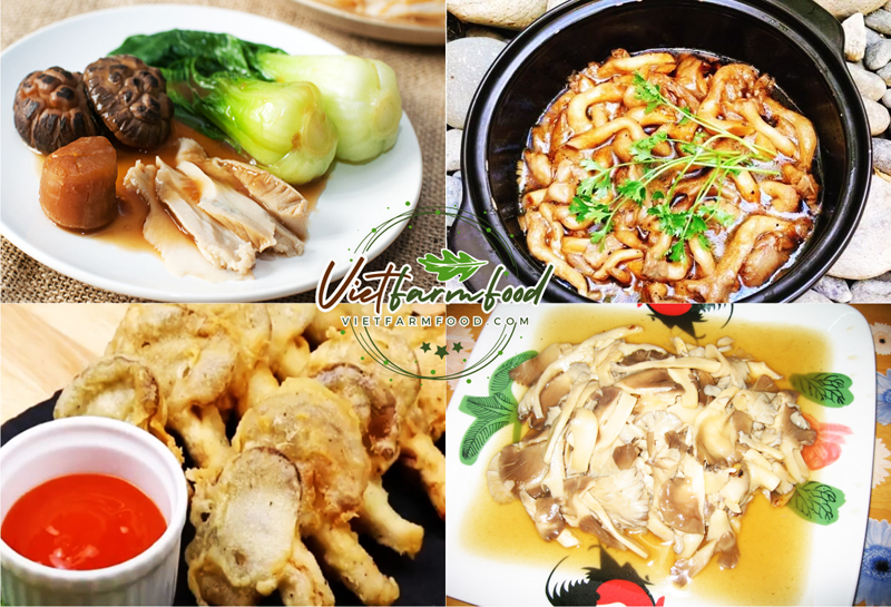 nam-bao-ngu-kho-Dried-abalone-mushrooms-nong-san-cao-cap-viet-farm-food-093-8828-553