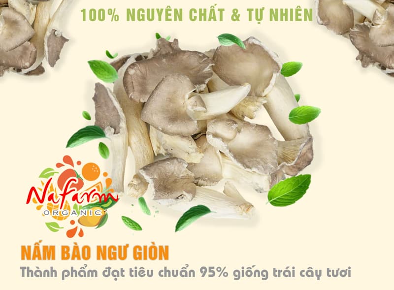nam-bao-ngu-kho-gion-don-khong-duong-say-dong-kho-thang-hoa-dehydrated-crispy-dried-abalone-oyster-mushroom-no-sugar-free-dac-san-cao-cap-nafarm-vn-093-8828-553