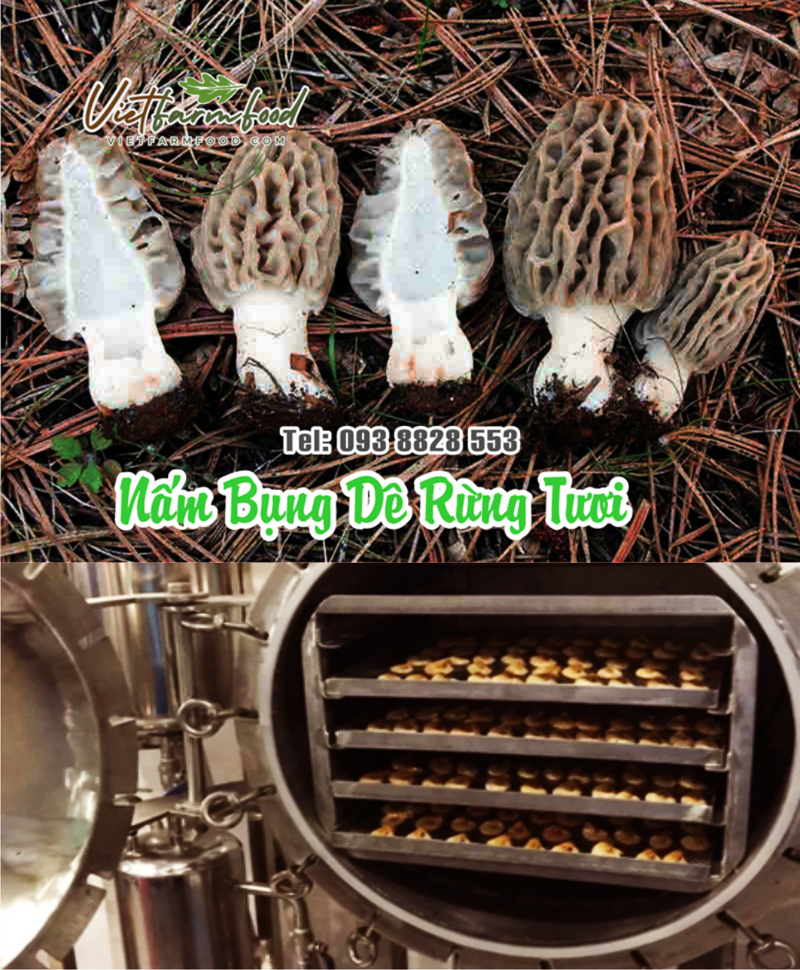 nam-bung-de-kho-cat-Dried-goat-belly-mushrooms-nong-san-cao-cap-vietf-farm-food-093-8828-553