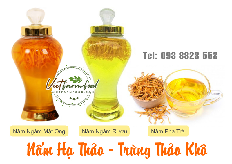 nam-trung-ha-thao-kho-dried-cordyceps-mushrooms-nong-san-viet-vietfarmfood-093-8828-553
