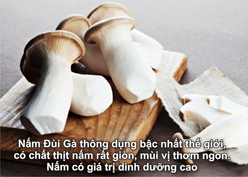 nam-dui-ga-kho-dried-chicken-drumstick-mushrooms-nong-san-viet-farm-food-093-8828-553 nam-dui-ga-kho-dried-chicken-drumstick-mushrooms-nong-san-viet-farm-food-093-8828-553