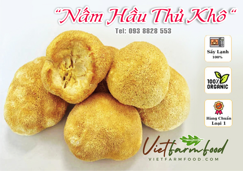 nam-hau-thu-dau-khi-kho-Dried-lion-mane-mushroom-nong-san-cao-cap-vietf-farm-food-093-8828-553