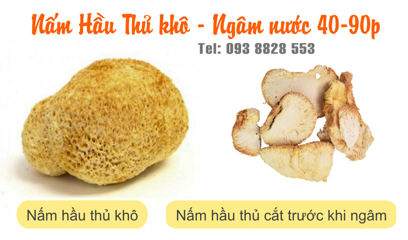 nam-hau-thu-dau-khi-kho-Dried-lion-mane-mushroom-nong-san-cao-cap-vietf-farm-food-093-8828-553
