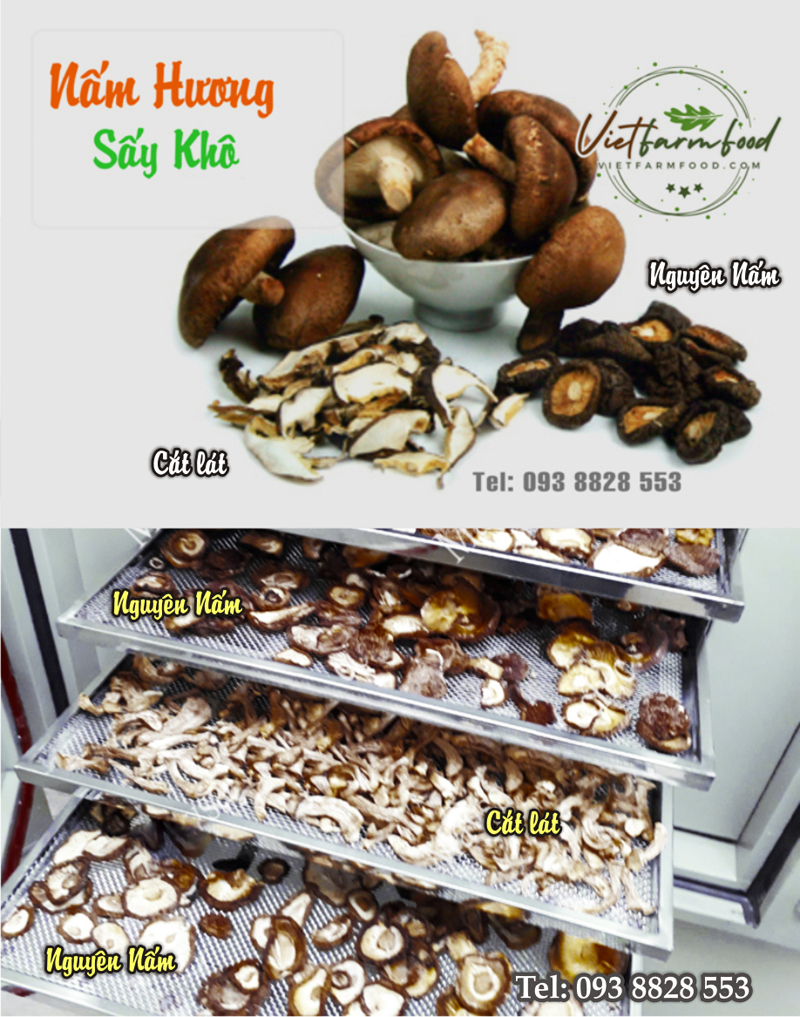 nam-huong-kho-dried-shiitake-mushrooms-shiitake-mushrooms-nong-san-cao-cap-viet-farm-food-093-8828-553