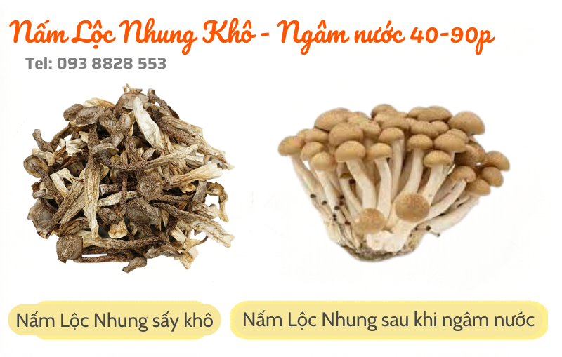nam-loc-nhung-kho-dried-velvet-mushrooms-nong-san-viet-farm-food-093-8828-553