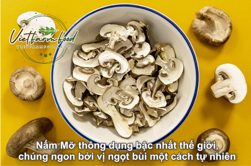 nam-mo-kho-dried-button-mushrooms-nong-san-cao-cap-viet-farm-food-093-8828-553 nam-mo-kho-dried-button-mushrooms-nong-san-cao-cap-viet-farm-food-093-8828-553