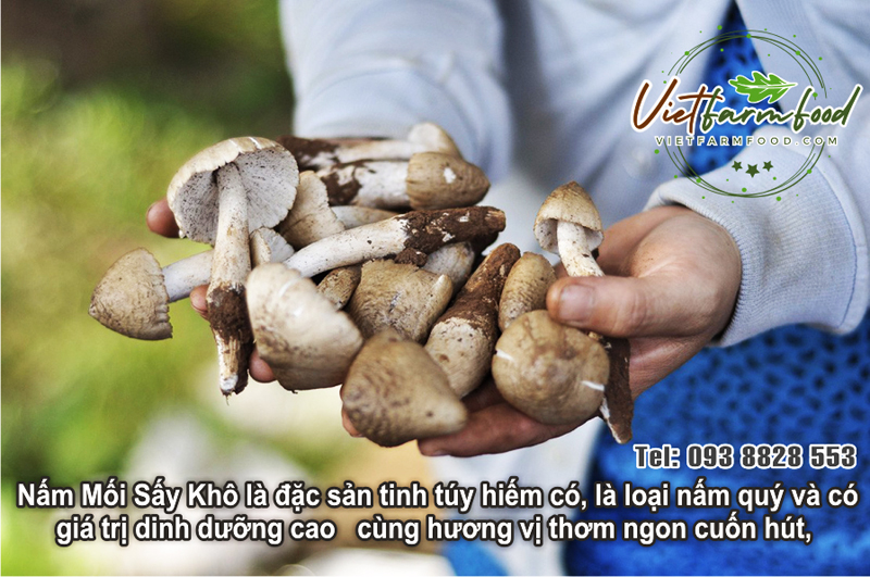 nam-moi-den-kho-dried-termite-mushrooms-nong-san-cao-cap-viet-farm-food-093-8828-553