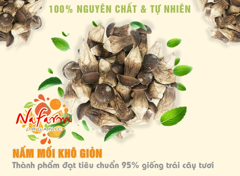 nam-moi-kho-gion-don-khong-duong-say-dong-kho-thang-hoa-dehydrated-crispy-dried-termite-mushroom-no-sugar-free-dac-san-cao-cap-nafarm-vn-093-8828-553-5