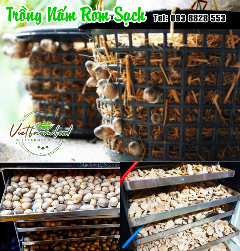 nam-rom-no-kho-dried-straw-mushrooms-nong-san-cao-cap-viet-farm-food-093-8828-553