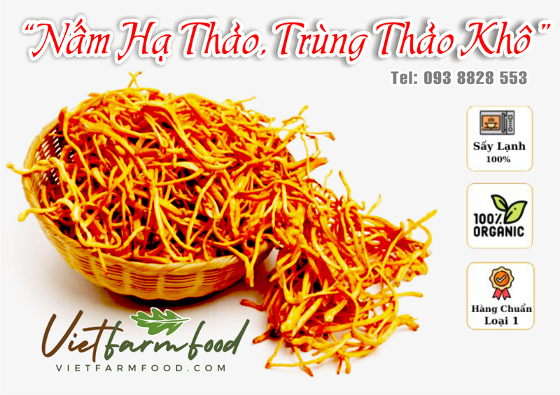 nam-trung-ha-thao-kho-dried-cordyceps-mushrooms-nong-san-viet-vietfarmfood-093-8828-553
