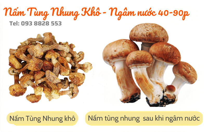nam-tung-nhung-kho-dried-matsutake-mushrooms-nong-san-viet-farm-food-093-8828-553 nam-tung-nhung-kho-dried-matsutake-mushrooms-nong-san-viet-farm-food-093-8828-553