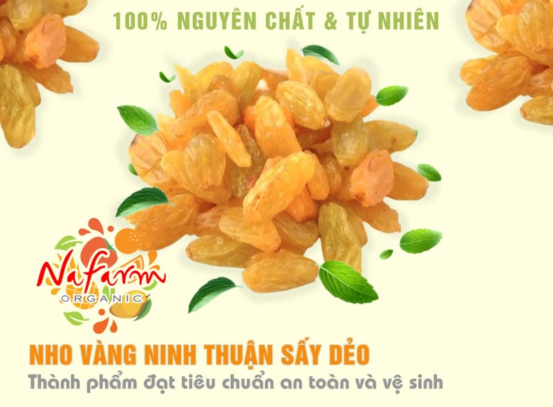 nho-vang-minh-thuan-say-deo-minh-thuan-dried-golden-grapes-dac-san-cao-cap-nafarm-vn-093-8828-553-2