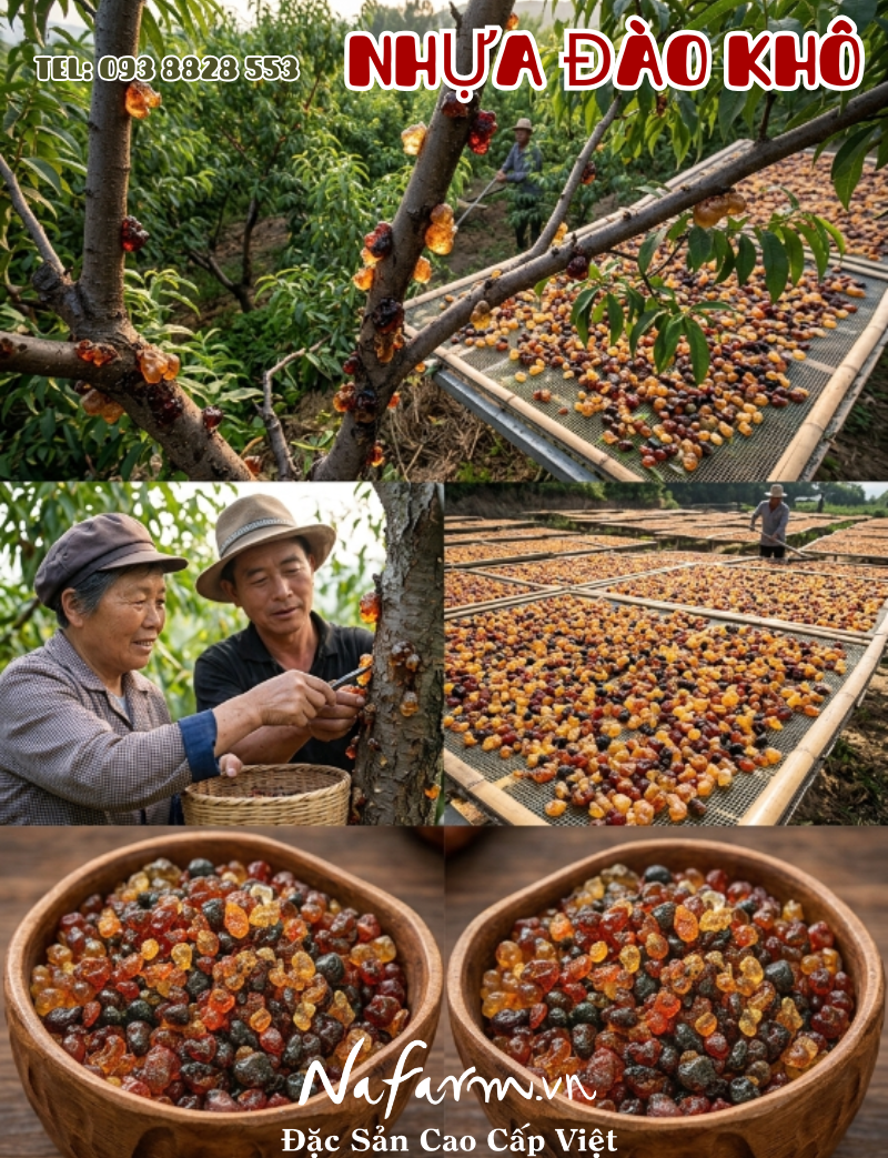 nhua-dao-kho-dried-peach-gum-resin-nong-san-viet-farm-food-093-8828-553 nhua-dao-kho-dried-peach-gum-resin-nong-san-viet-farm-food-093-8828-553