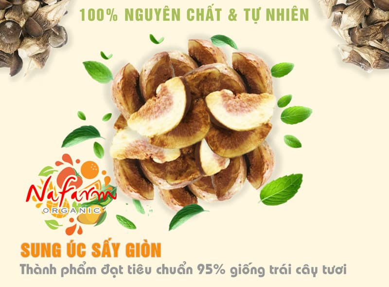 qua-sung-uc-gion-don-say-thang-hoa-dac-san-cao-cap-nafarm-093-8828-553-3 qua-sung-uc-gion-don-say-thang-hoa-dac-san-cao-cap-nafarm-093-8828-553-33