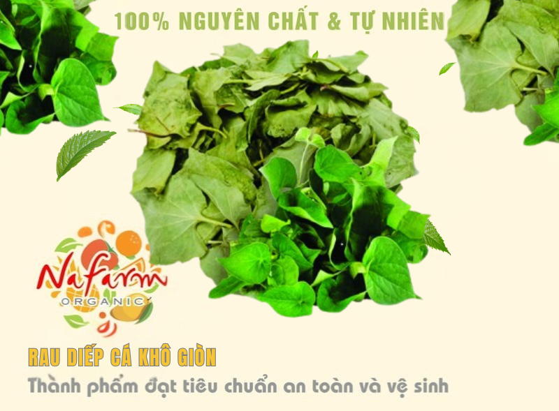 rau-diep-ca-kho-gion-dried-crispy-houttuynia-leaves-dac-san-nafarm-hotline-093-8828-553