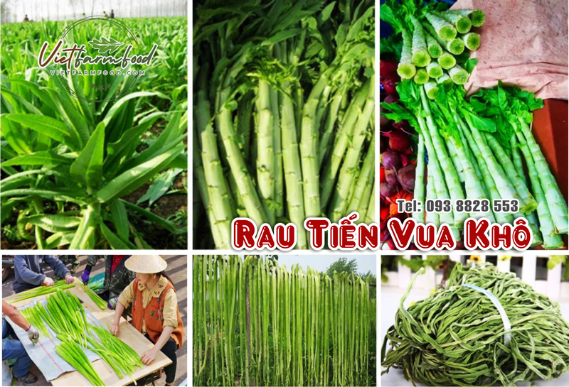 Rau tiến vua sấy khô (dried king vegetables) Nông Sản Vietfarmfood ...