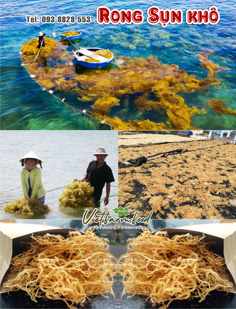 rong-sun-kho-dried-seaweed-nong-san-viet-farm-food-093-8828-553