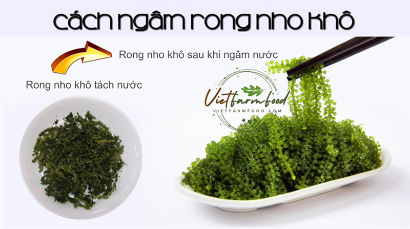 rong-tach-nuoc-say-kho-nha-trang-dehydrated-dried-seaweed--nong-san-cao-cap-viet-farm-food-093-8828-553