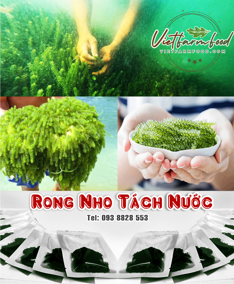 rong-tach-nuoc-say-kho-nha-trang-dehydrated-dried-seaweed--nong-san-cao-cap-viet-farm-food-093-8828-553