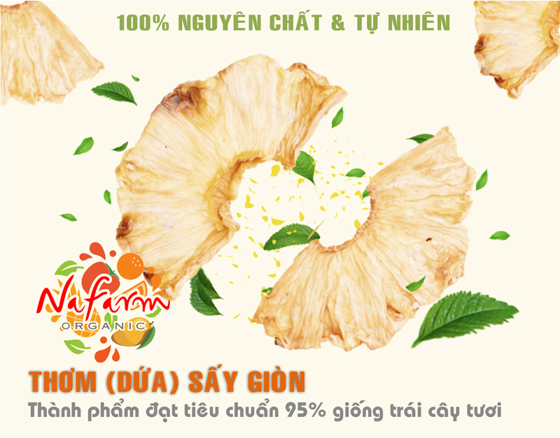 thom-dua-gion-don-khong-duong-say-thang-hoa-crispy-freeze-dried-pineapple-dac-san-cao-cap-nafarm-vn-093-8828-553.jpg