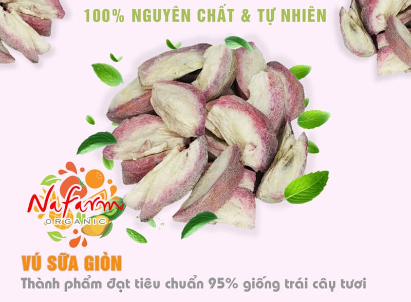 vu-sua-say-gion-don-khong-duong-say-dong-kho-thang-hoa-crispy-dried-star-apple-no-sugar-free-dac-san-cao-cap-nafarm-vn-093-8828-553-3