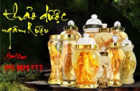 Thảo Dược Ngâm NK
