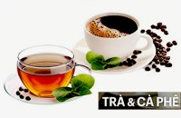 Trà Việt & NK